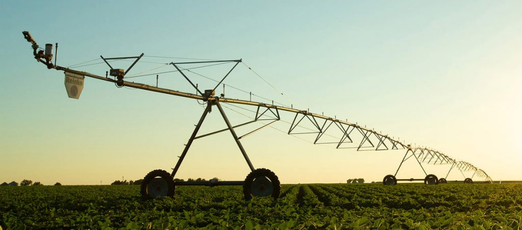 Reinke-irrigation